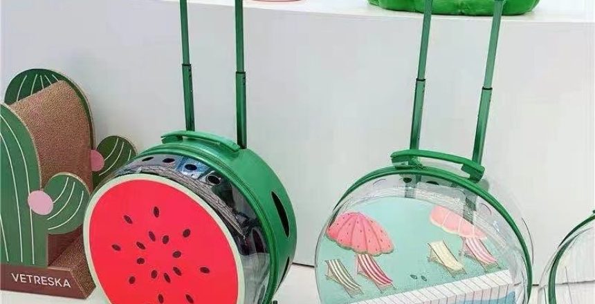 New pet trolley case 2021